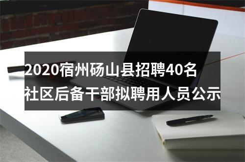 2020宿州砀山县招聘40名社区后备干部拟聘用人员公示 图片