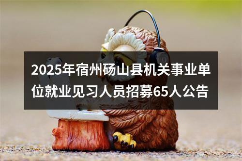 2025年宿州砀山县机关事业单位就业见习人员招募65人公告 图片