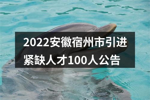 2022安徽宿州市引进紧缺人才100人公告 图片