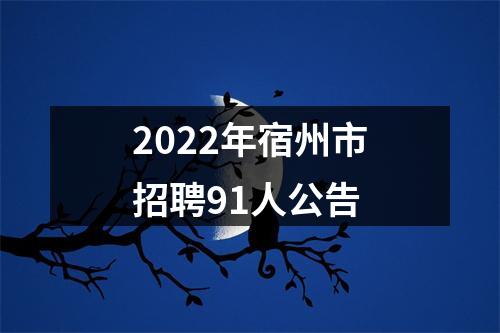 2022年宿州市招聘91人公告 图片