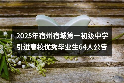 2025年宿州宿城第一初级中学引进高校优秀毕业生64人公告 图片