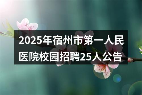 2025年宿州市第一人民医院校园招聘25人公告 图片