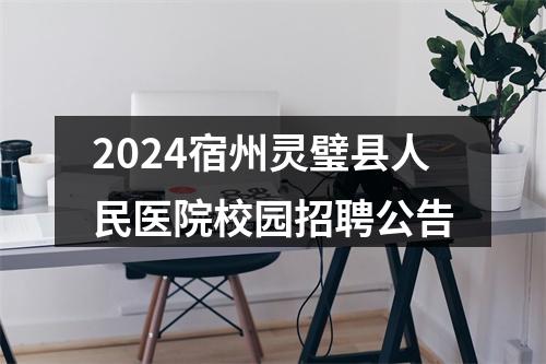 2024宿州灵璧县人民医院校园招聘公告 图片