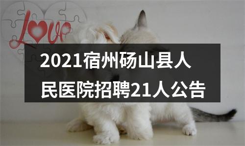 2021宿州砀山县人民医院招聘21人公告 图片