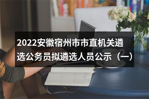 2022安徽宿州市市直机关遴选公务员拟遴选人员公示（一） 图片
