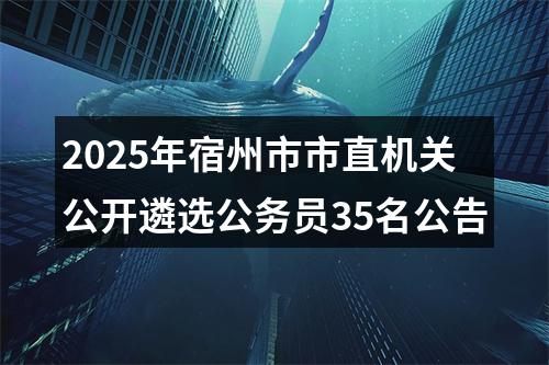2025年宿州市市直机关公开遴选公务员35名公告 图片