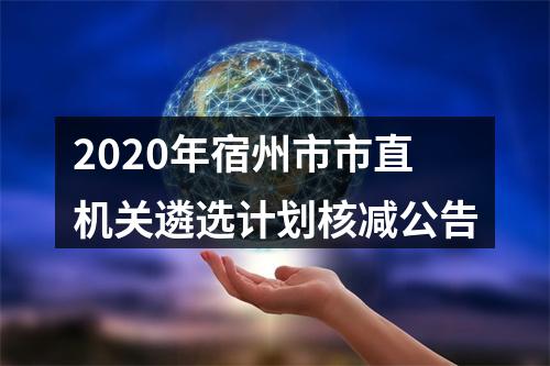 2020年宿州市市直机关遴选计划核减公告 图片
