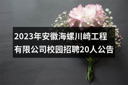 2023年安徽海螺川崎工程有限公司校园招聘20人公告 图片