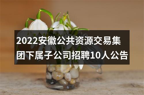 2022安徽公共资源交易集团下属子公司招聘10人公告 图片