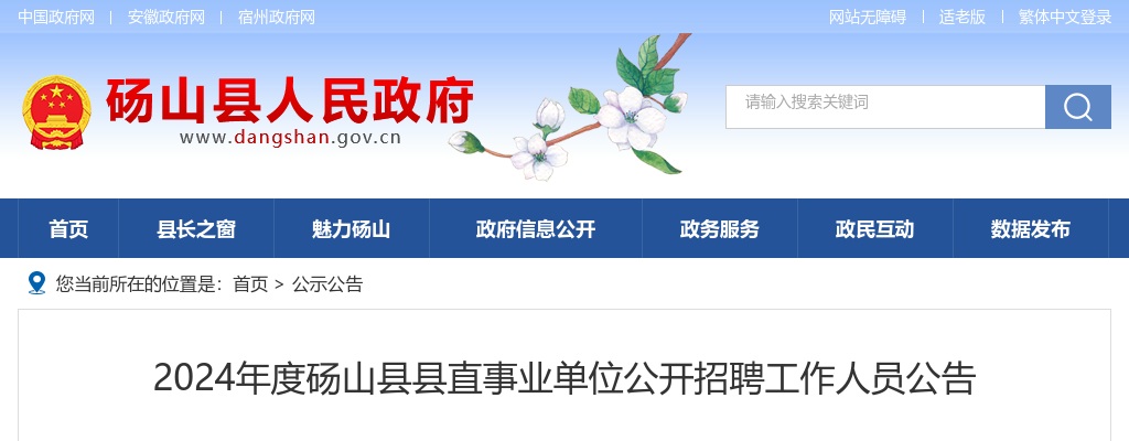 2025年宿州泗县卫健系统优秀人才引进（校园招聘）40人公告 图片