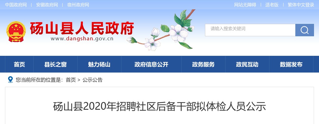 2020宿州砀山县招聘社区后备干部拟体检人员公示 图片
