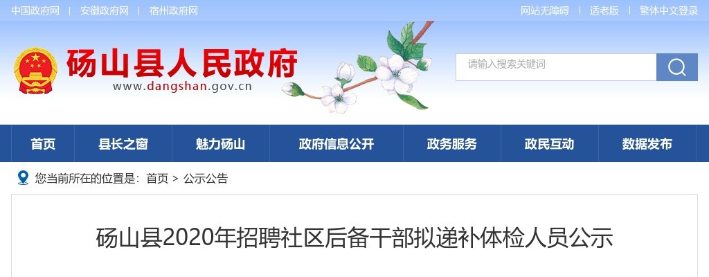 2020宿州砀山县招聘社区后备干部拟递补体检人员公示 图片